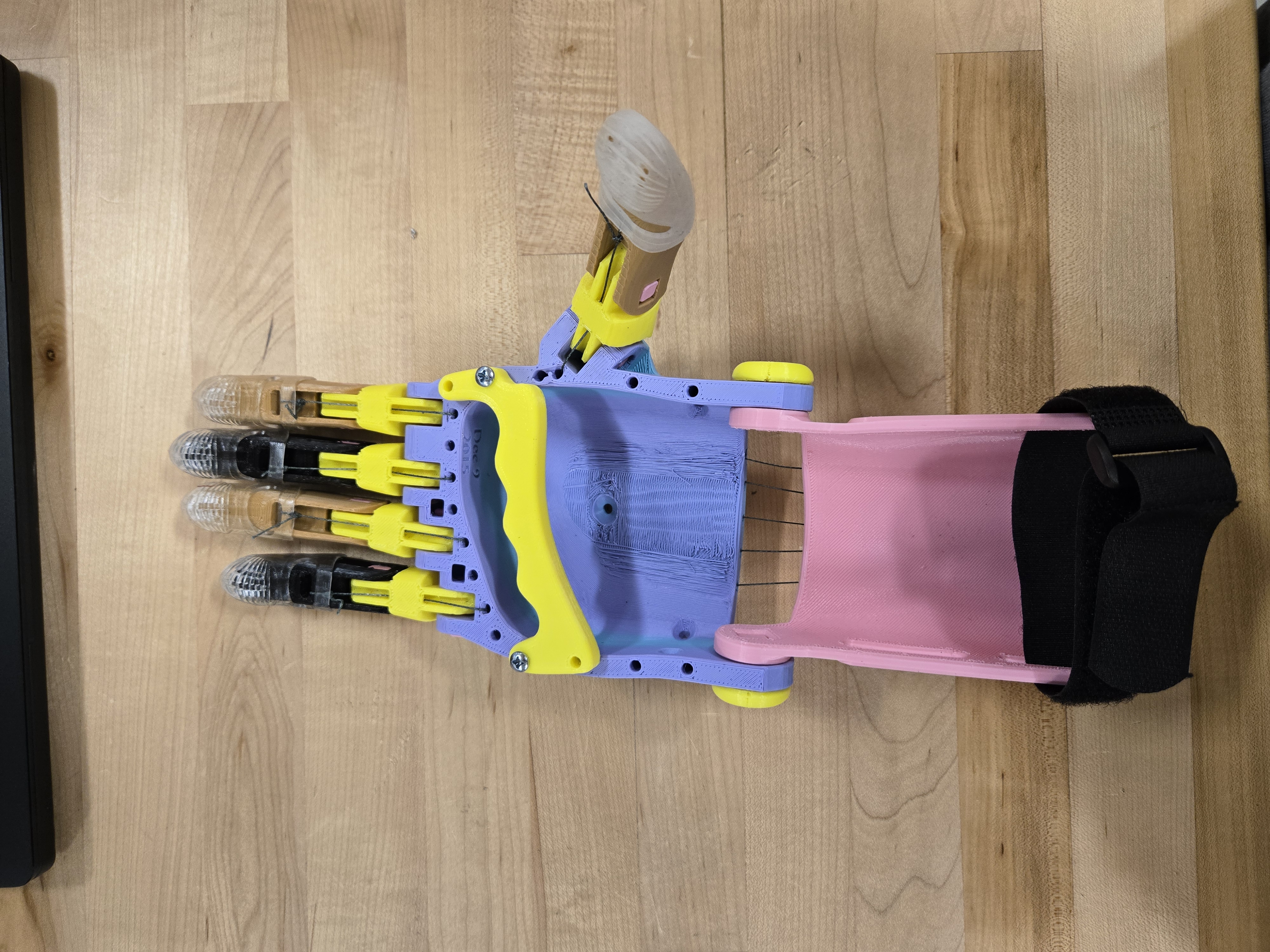 ENGR11a: 3D Printing a Prosthetic Hand